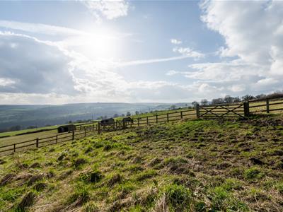 Paddocks